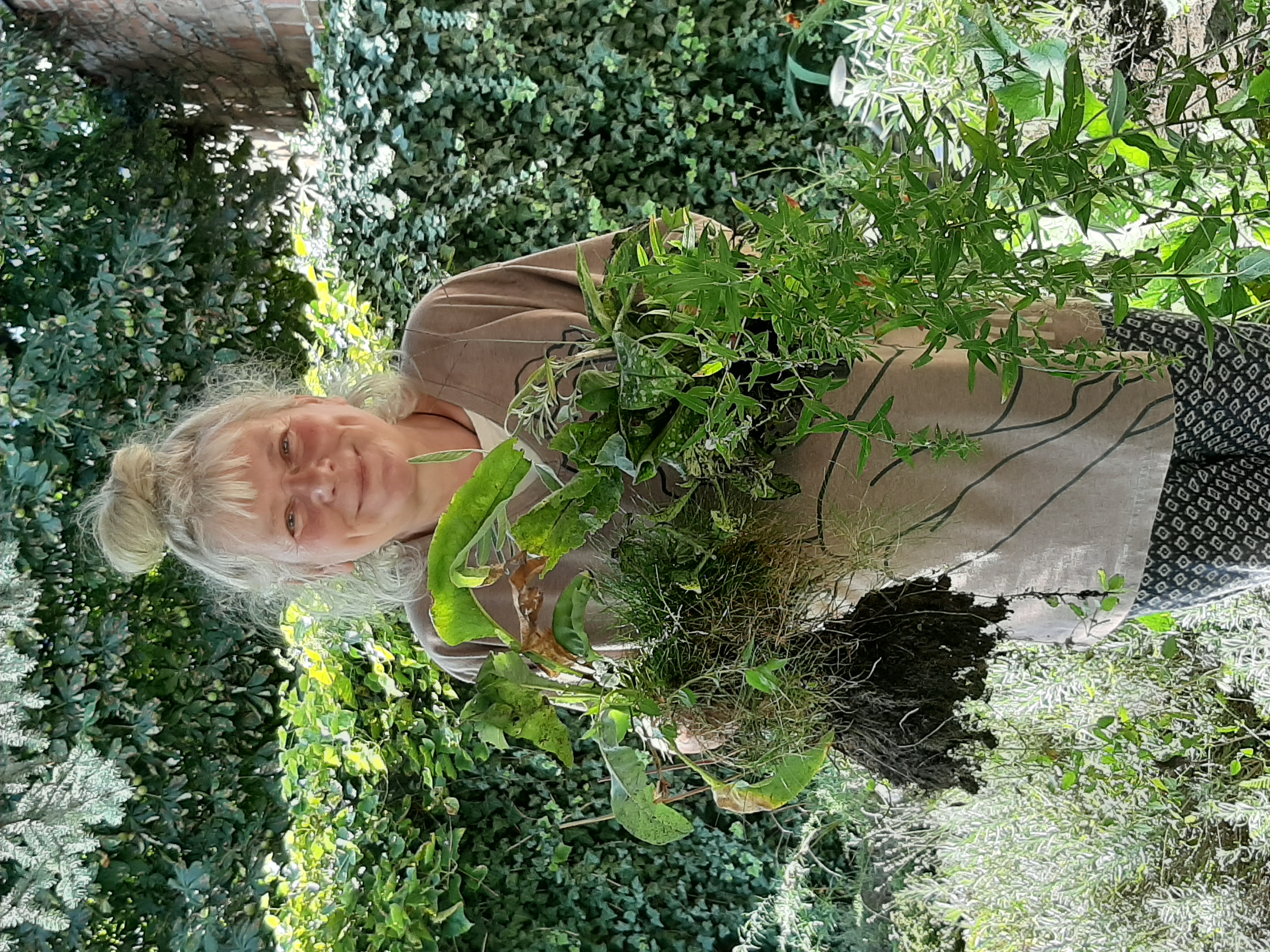 W ogródku domu kultury na tle bujnej roślinności stoi szeroko uśmiechnięta kobieta  trzymająca w rękach sporej wielkości sadzonki roślin.